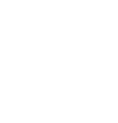 普鸿 PUHONG
